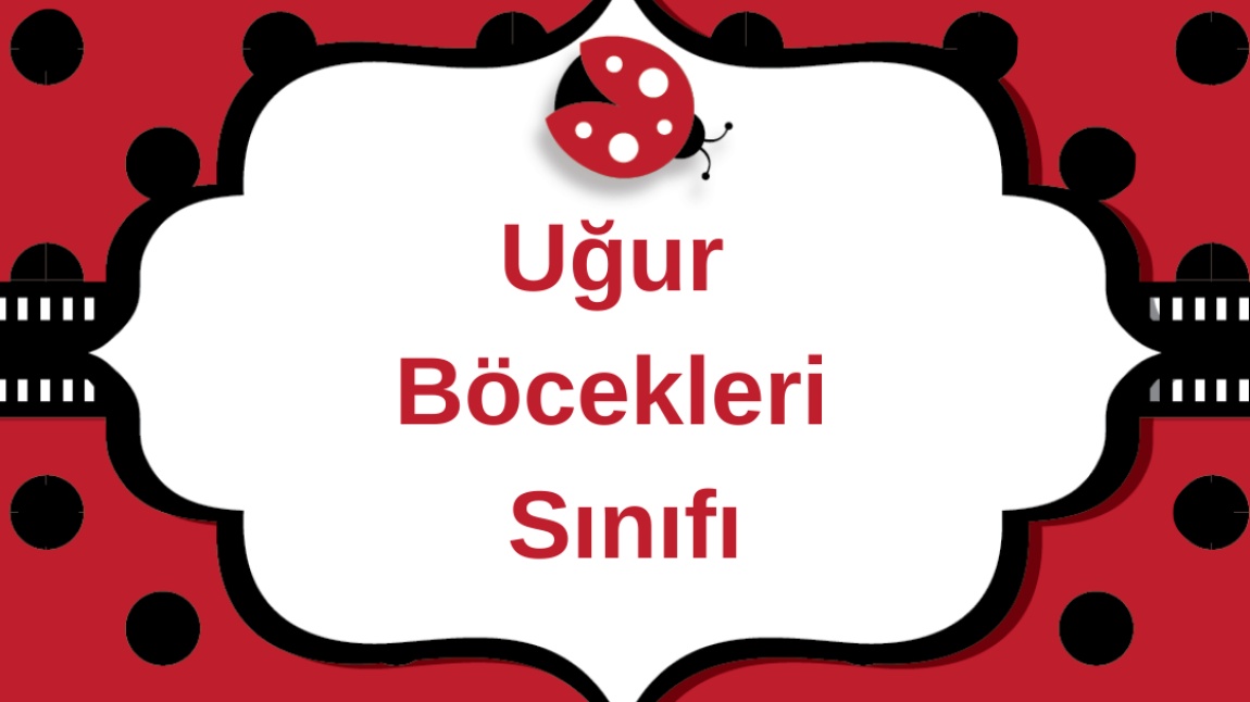 UĞUR BÖCEKLERİ SINIFINDA EŞLEME BECERİLERİ