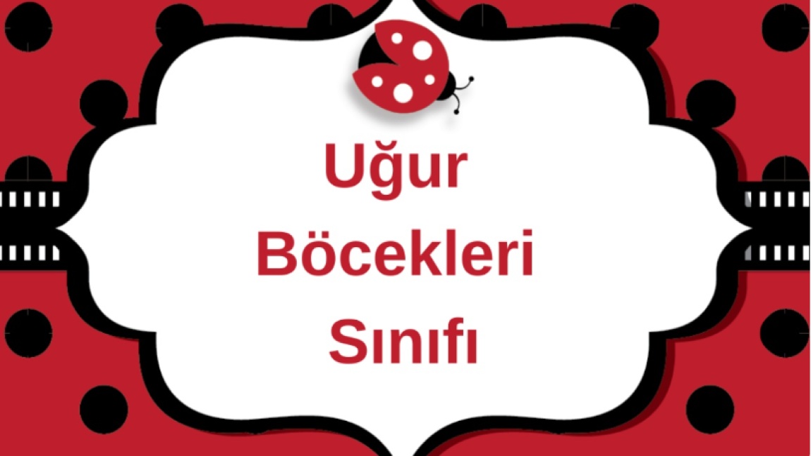 UĞUR BÖCEKLERİ SINIFIMIZDA ÇİZGİ ÇALIŞMASI